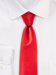 Seiden-Krawatte stilsicherer Lüster rot