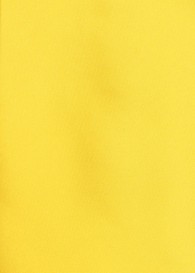 Herren-Schleife und Ziertuch in gelb