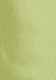 Krawatte in hellgrün