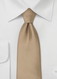 Braunbeige Krawatte Uni